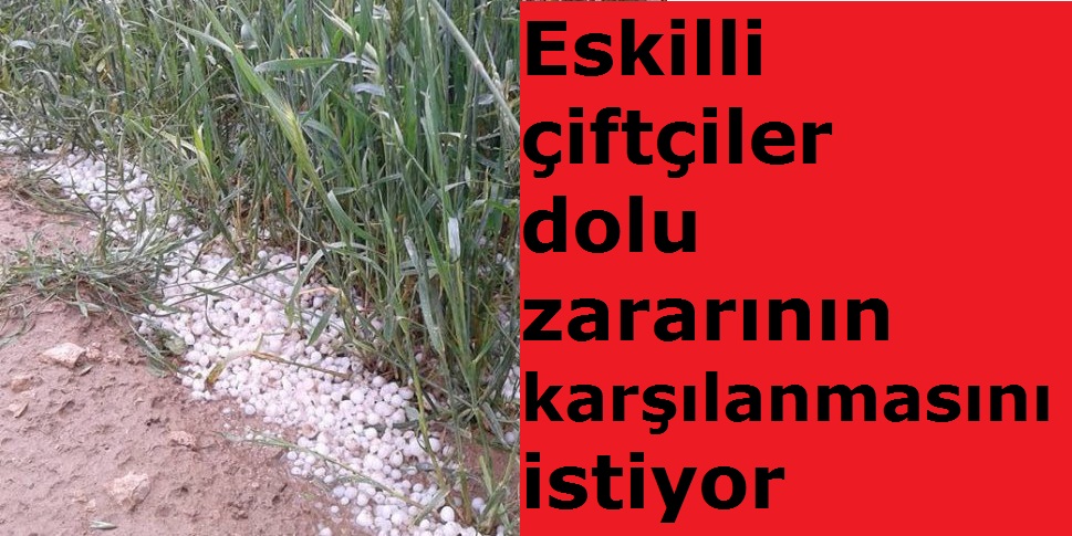 Eskilli çiftçiler dolu zararının karşılanmasını istiyor