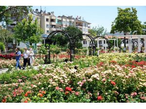 Kültürpark Gülbahçe’de Güllerin Ahengi