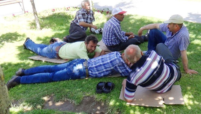 Aksaray’da sıcaktan bunalanlar parklarda gölgeye yatıyor