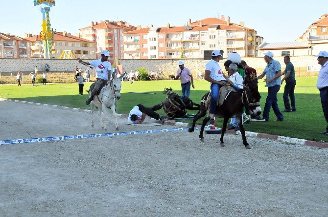 "Eşeğe Düz Binme", "Eşeğe Ters Binme" ve "En Güzel Gözlü Eşek" yarışmaları