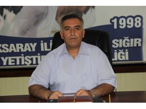 Buzağı destekleme başvurusu 14 Temmuz’da sona eriyor