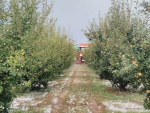 Beyşehir’de dolu yağışı