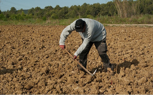 Gübre ve mazot desteğinde çiftçiye dilekçe kolaylığı!