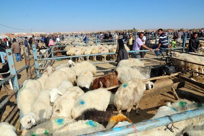 Aksaray’da kurban kesim yerleri belli oldu