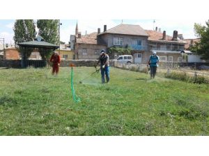 Beyşehir’in yeşil alanları yabani otlardan arındırılıyor