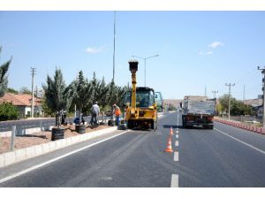 Aksaray Belediyesi, Nevşehir yolunda yeşillendirme çalışması yapıyor