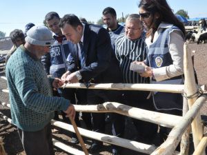 Aksaray’da Polis ekipleri hayvan pazarını denetliyor