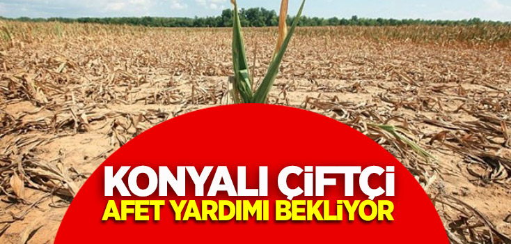 Konyalı çiftçi afet yardımı bekliyor!