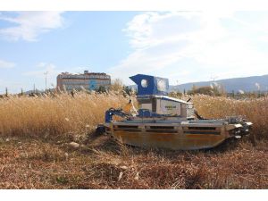 Beyşehir Gölü kıyılarında sucul bitkilerinin kesimi yeniden başladı