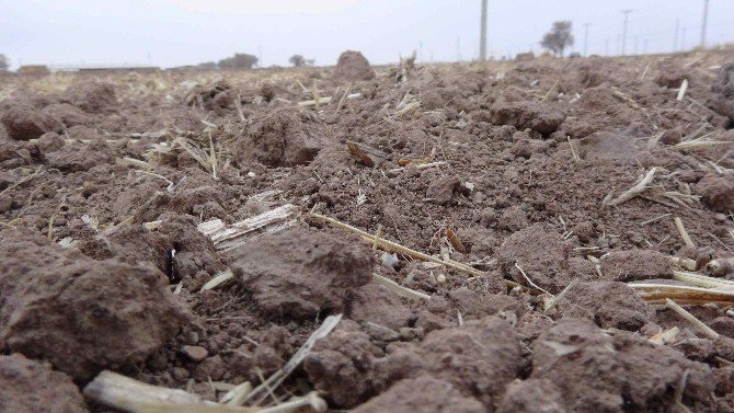 Aksaray’da kuraklık çanları çalmaya başladı