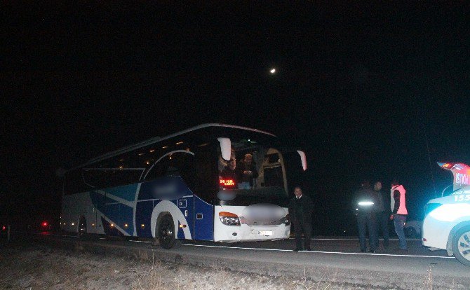 Başkan’ın makam aracı domuz sürüsüne çarptı