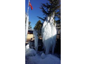 Beyşehir’de ağaçlar buz tuttu