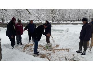 Seydişehir Belediyesi kuşlar için doğaya yem bıraktı