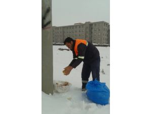 Ereğli’de sokak hayvanlarına yem bırakıldı