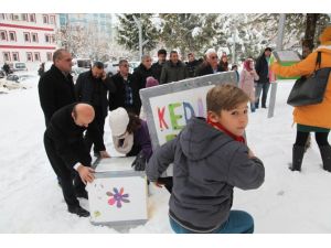 Drama öğrencilerinden sokak hayvanlarına barınak