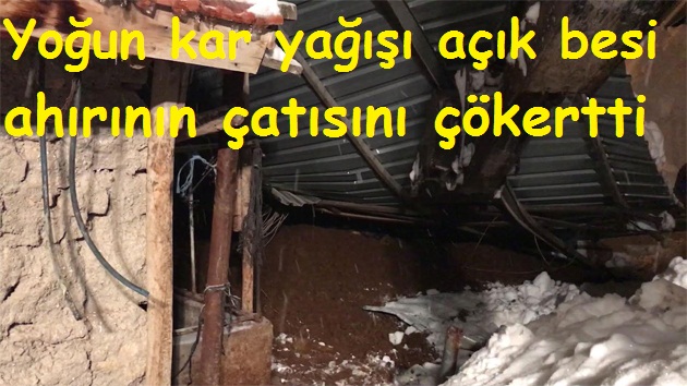 Yoğun kar yağışı açık besi ahırının çatısını çökertti