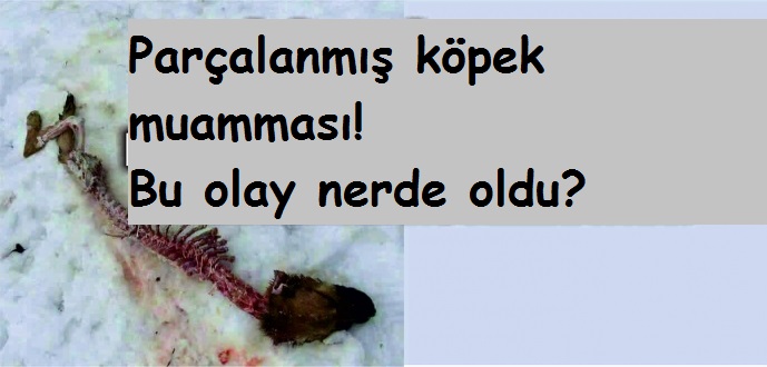 Günün sorusu, "Bu olay nerede oldu?"