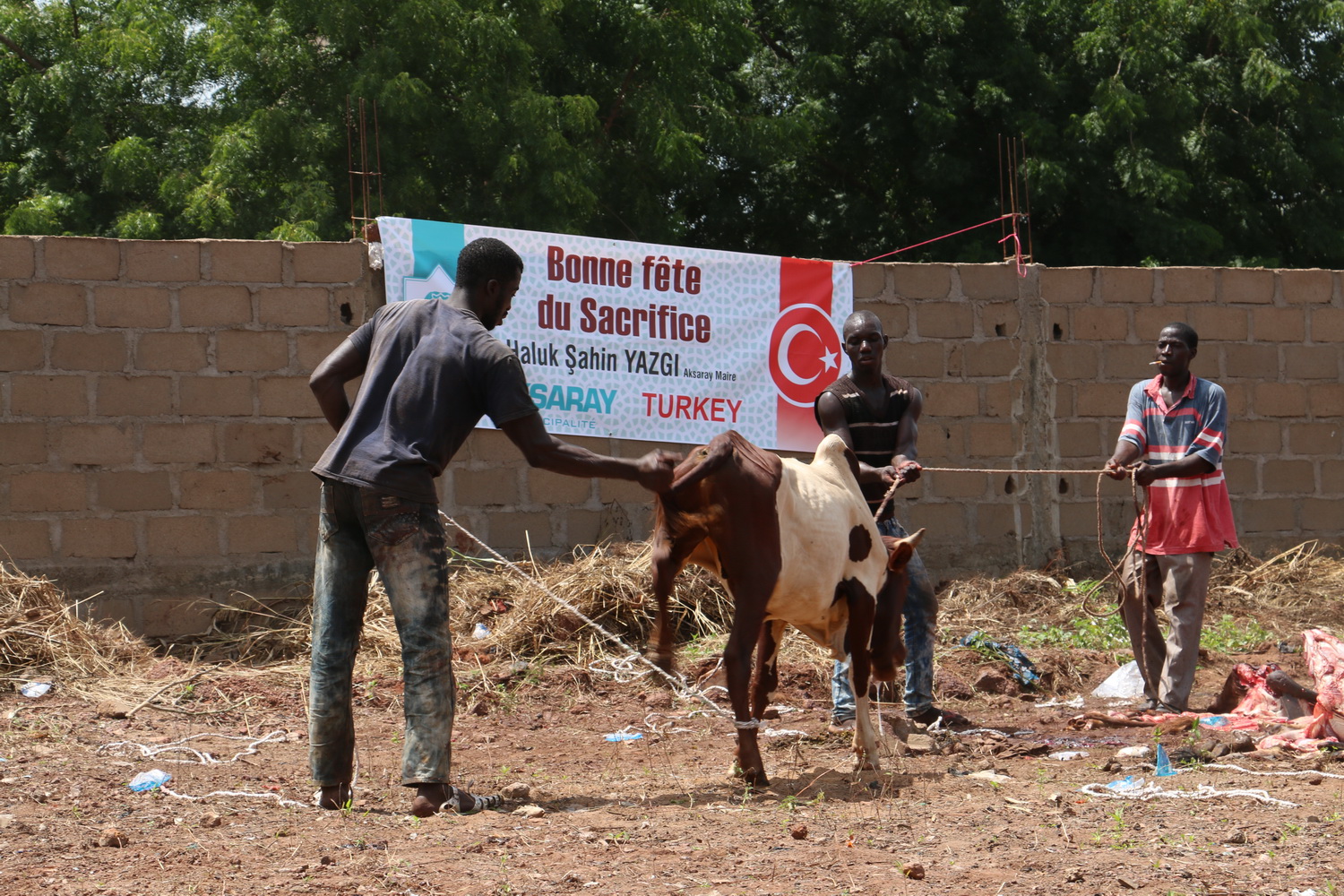 Afrikalı yetim çocuklardan Başkan Yazgıya selam!