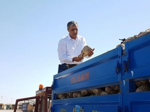 Konya Şeker’de pancar ödemeleri başlıyor