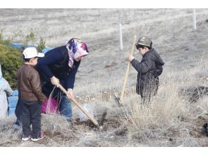 Yunak’ta fidanlar toprakla buluştu