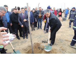 Ereğli’de 15 Temmuz Şehitleri için Hatıra Ormanı oluşturuldu