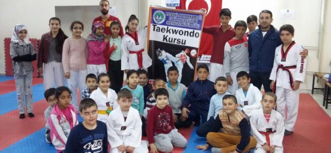 Eskil'de taekwondo kaldığı yerden