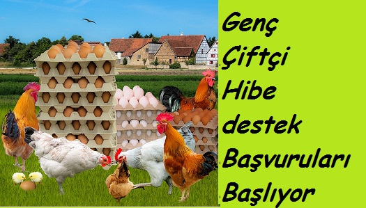 Genç çiftçi hibe desteği müracaatları başlıyor!