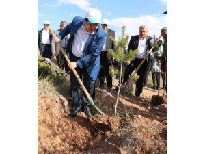 Aksaray Zabıtasından şehitler anısına fidan