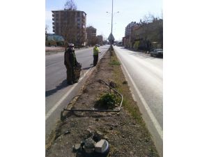 Seydişehir Belediyesinden yabani otla mücadele