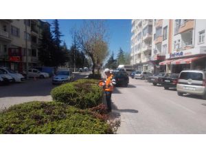 Beyşehir’deki park ve bahçelerde mesai hız kazandı