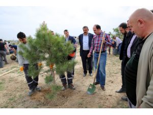 Selçuklu’da sanayi çalışanı gençler bin 71 fidanı toprakla buluşturdu