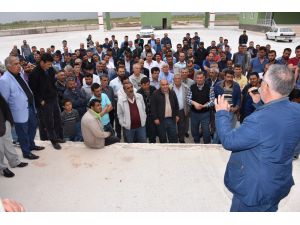 Aksaray’da canlı hayvan pazarında kotra dağıtımı