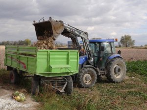 Çiftçiler şeker pancarından umutlu