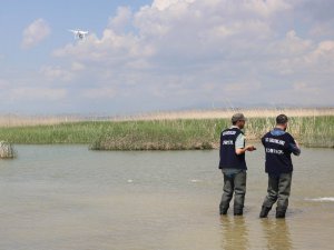 Beyşehir Gölü’ne 450 bin yavru sazan balığı bırakıldı