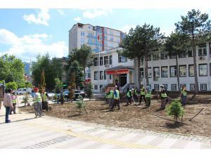 Seydişehir Belediyesi’nden kaymakamlık binası etrafına çevre düzenlemesi