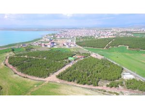 Beyşehir’e yeni mesire alanı