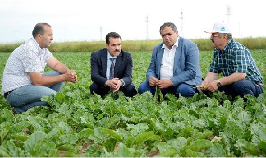 Yıllık 1 milyon ton pancar üretilen Aksaray Türkiye 3’üncüsü