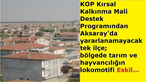 Eskil Kırsal Kalkınma Mali Desteğinden Neden Yararlanmıyor?