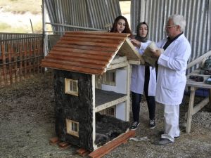 Selçuk Üniversitesi, koyun yününden ısı yalıtım malzemesi geliştirdi