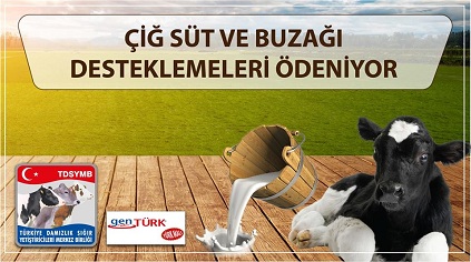 Çiğ süt ve buzağı destekleri ödeniyor! Listede Aksaray yok