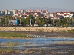 Beyşehir Gölü kıyılarında sular çekiliyor