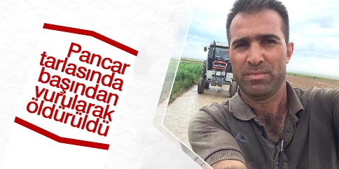 Altınekin'de pancar tarlasında cinayet