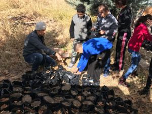 Aksaray’da Özel Çocuklar Ağaç Dikti