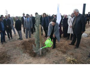 Aksaray’da ‘Gönül Elçileri’ Projesi Kapsamında Fidan Dikimi Yapıldı