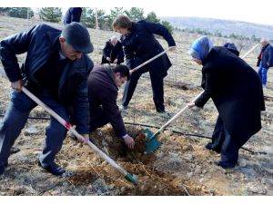 Huzurevi Sakinleri Fidan Dikti