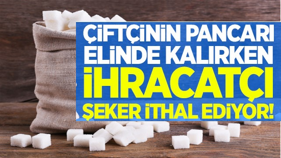 Çiftçinin pancarı elinde kaldı, ihracatçı şeker ithal ediyor!