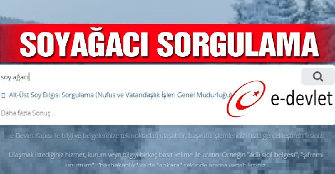 Uzmalardan soy kütüğü uyarısı! O bilgiyi aman paylaşmayın