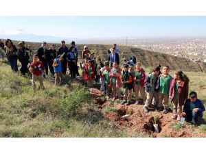 Öğrenciler, zabıta eşliğinde fidan dikti