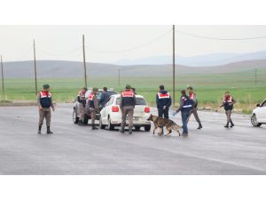 Aksaray’da jandarma ekiplerinden uygulama