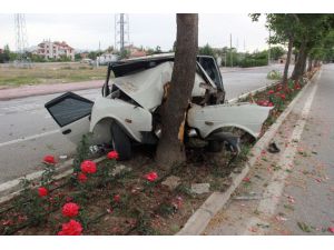 Ağaca çarparak hurdaya dönen otomobilden yaralı olarak kurtuldu